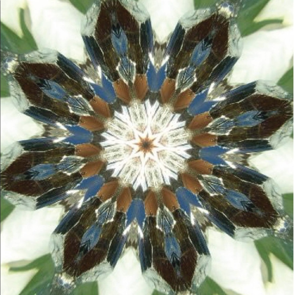 Meet your Posher, Heather